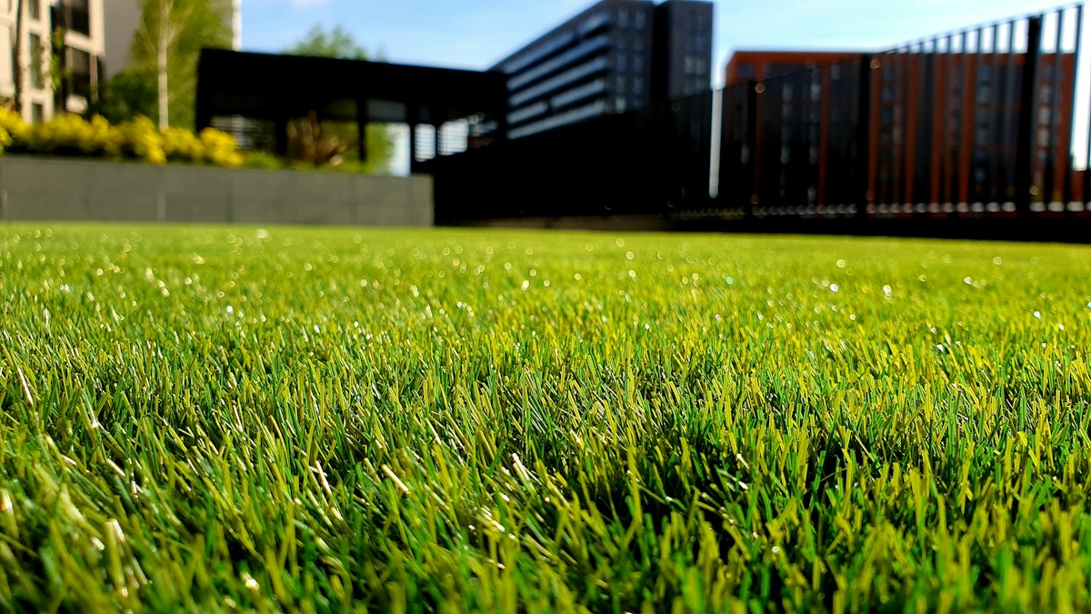 Green lawn and modern garden boundary illustrating a landscaping portfolio